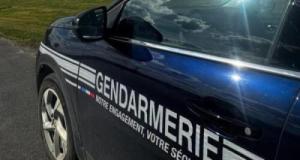 Contrôlé positif au volant, il pensait s'en tirer : les gendarmes découvrent 3 kg de cannabis et 5 plants chez lui