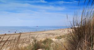 Top 5 des plages méditerranéennes les plus polluées, choisissez bien vos plages pour des vacances en famille réussies ! 