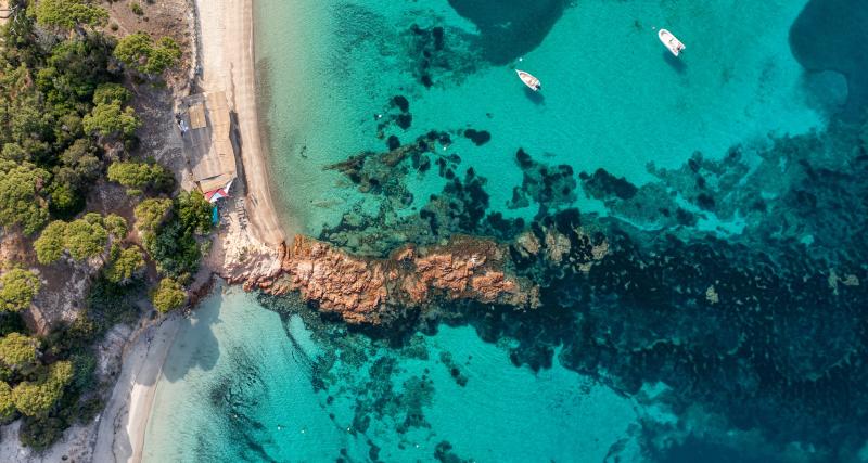  - Attention aux plages polluées : les meilleures et les pires plages en Corse pour vos enfants !