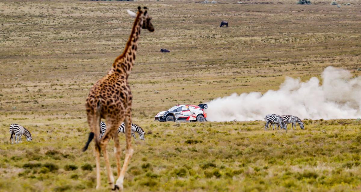 WRC - Rallye du Kenya : palmarès, enjeux, horaires, programme TV