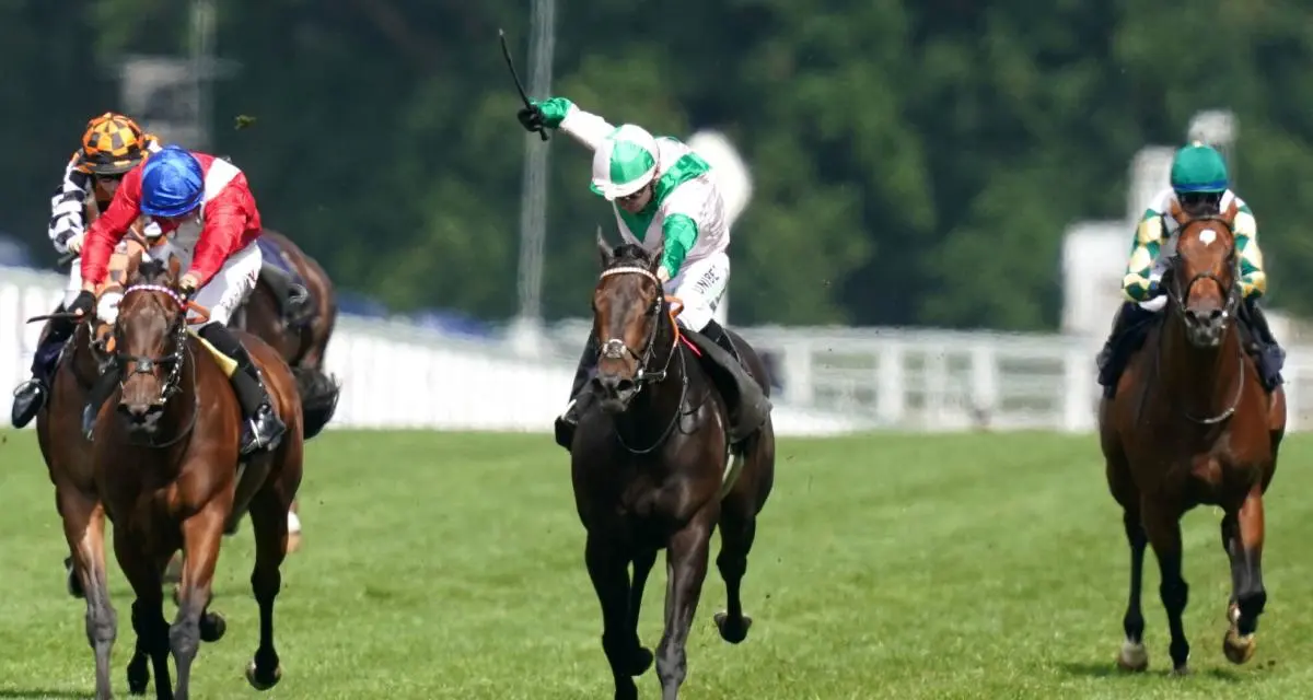 Résultats course PMU : Charmy Charly As vainqueur du Prix de Montier en Der à Vincennes