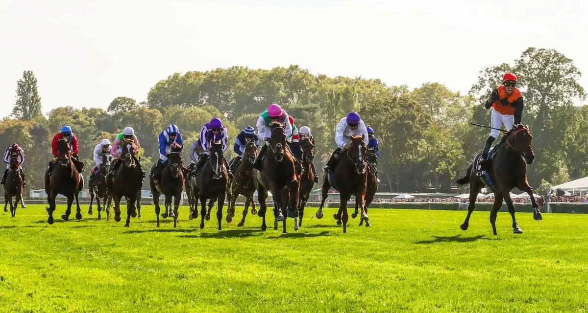 Résultats course PMU : Principe vainqueur du Prix du Manoir de la Salamandre à Deauville