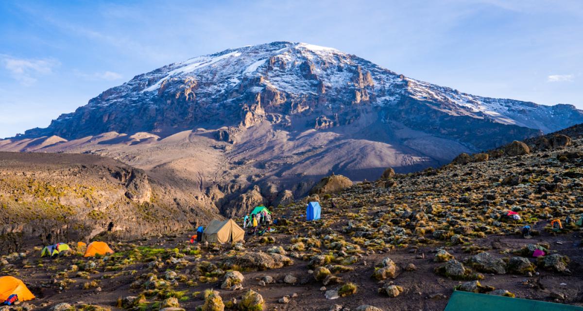 Le défi démentiel de ce britannique sur le Kilimandjaro