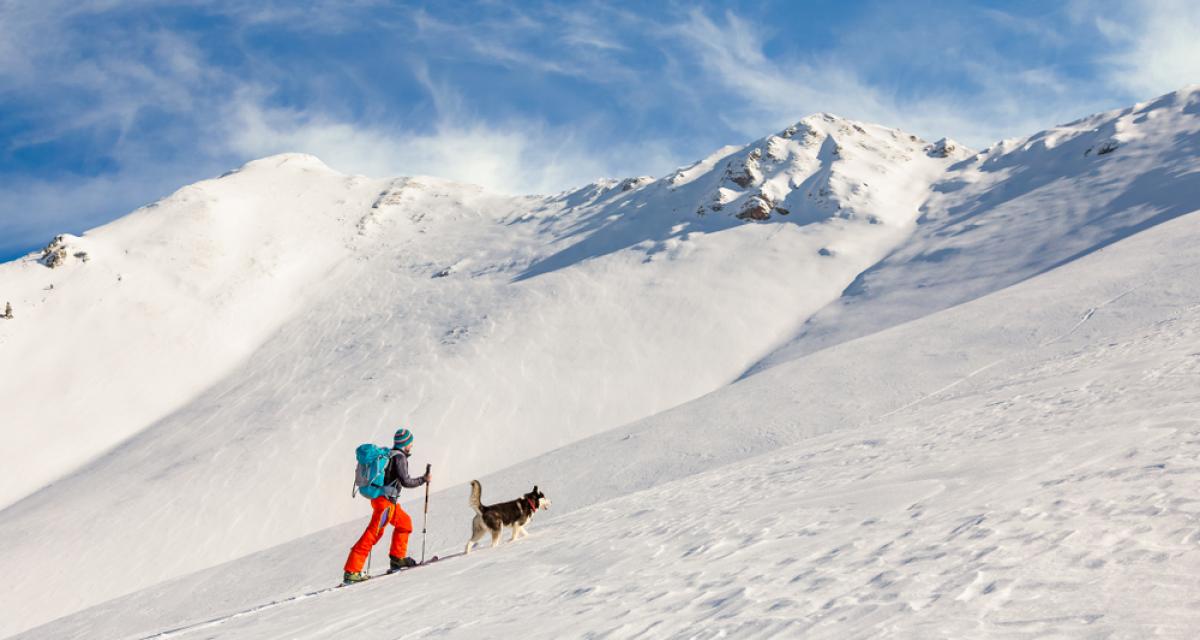 Ski backcountry avec ses chiens 