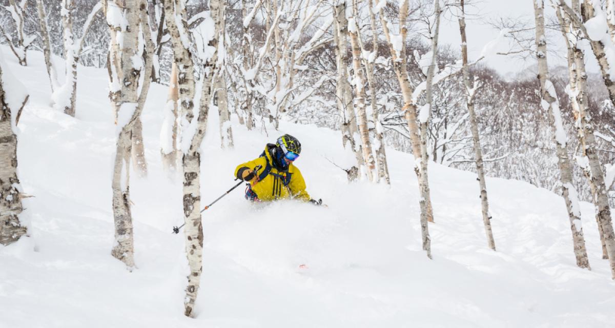 Le ski sur l'île d'Hokkaido au Japon