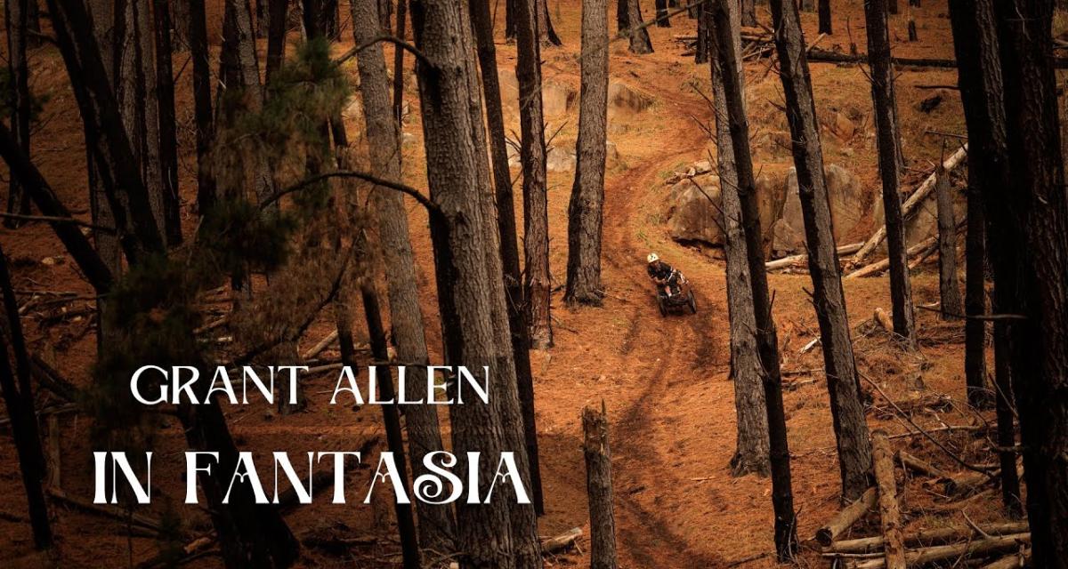 Grant Allen - In Fantasia