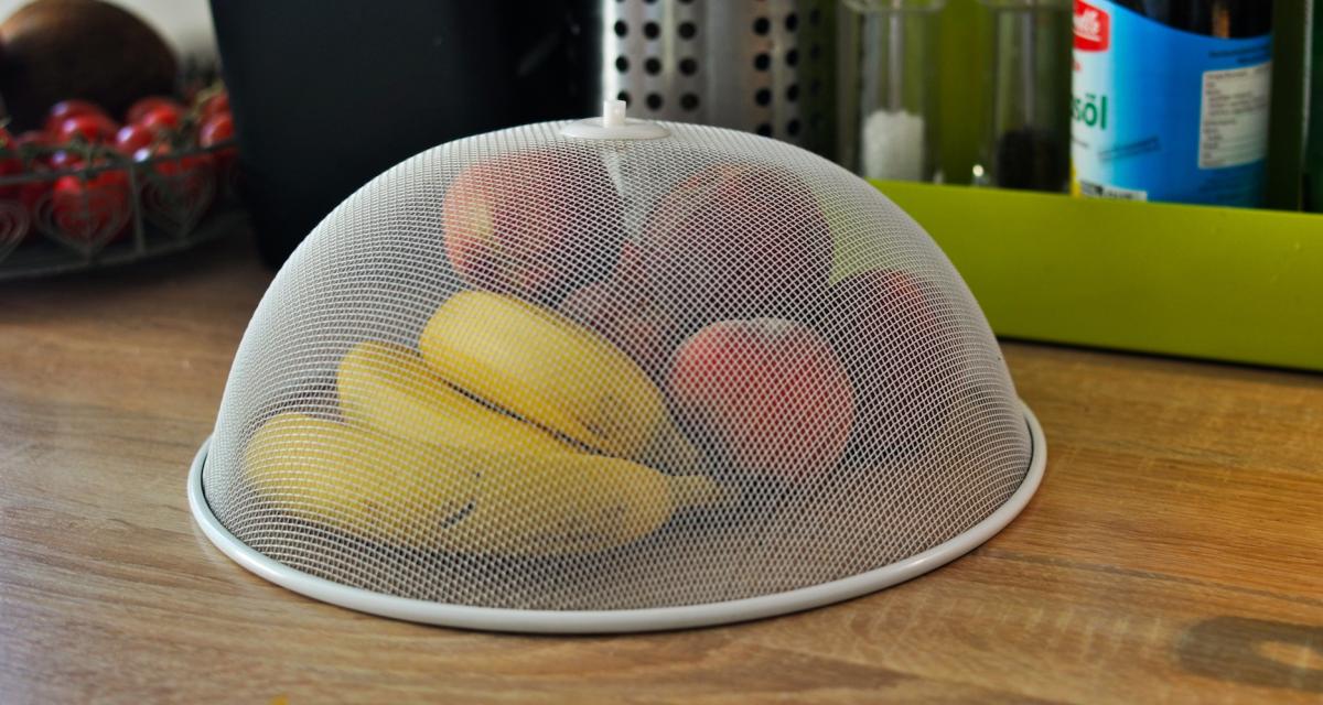 Une cloche alimentaire pour protéger des mouches