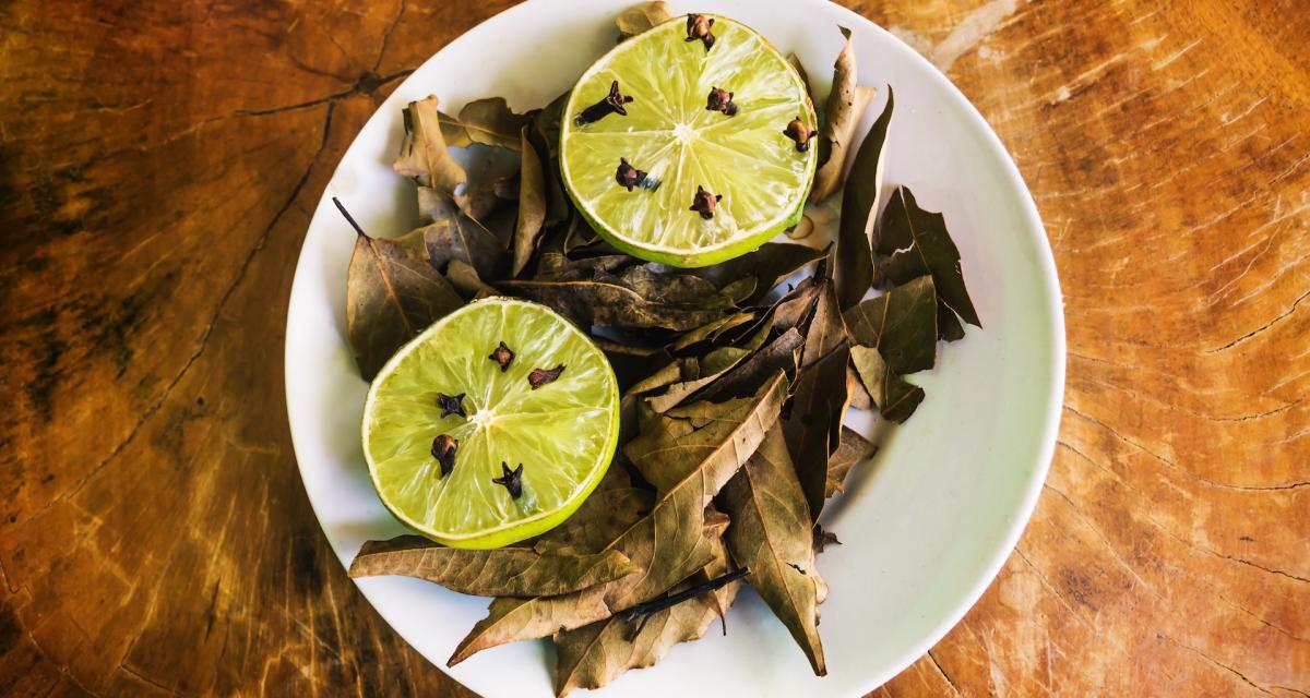 Clous de girofle plantés dans un citron.