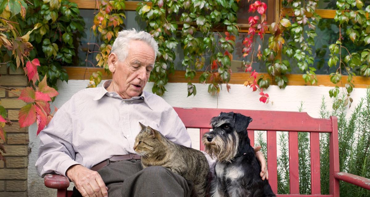 Un homme âgée en compagnie de son chient et de son chat.