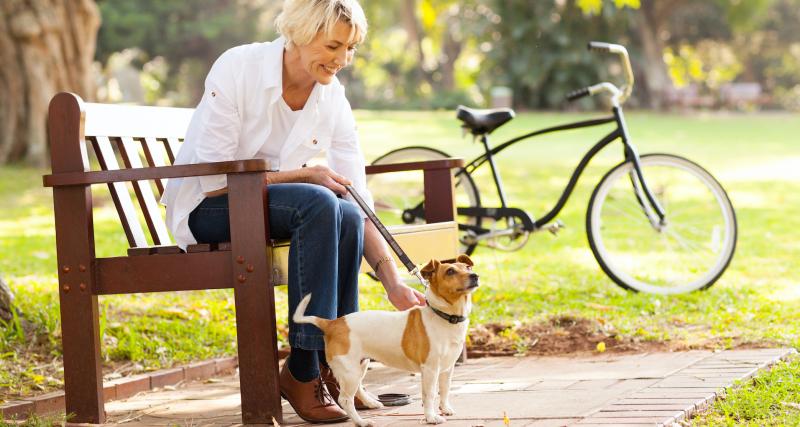  - Taxe sur les animaux de compagnie : qu’en est-il vraiment ? 