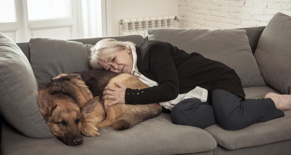 Décès d’un animal de compagnie : comment éviter jusqu’à 4000 euros d’amende