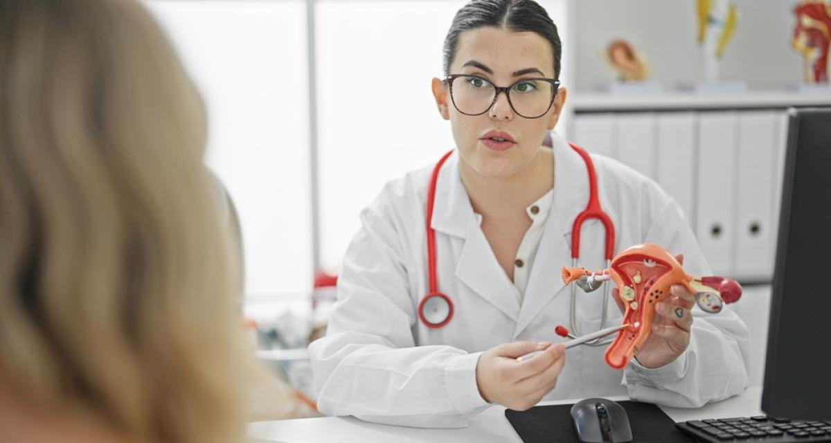 Une médecin montre le système reproductif féminin à une patiente.