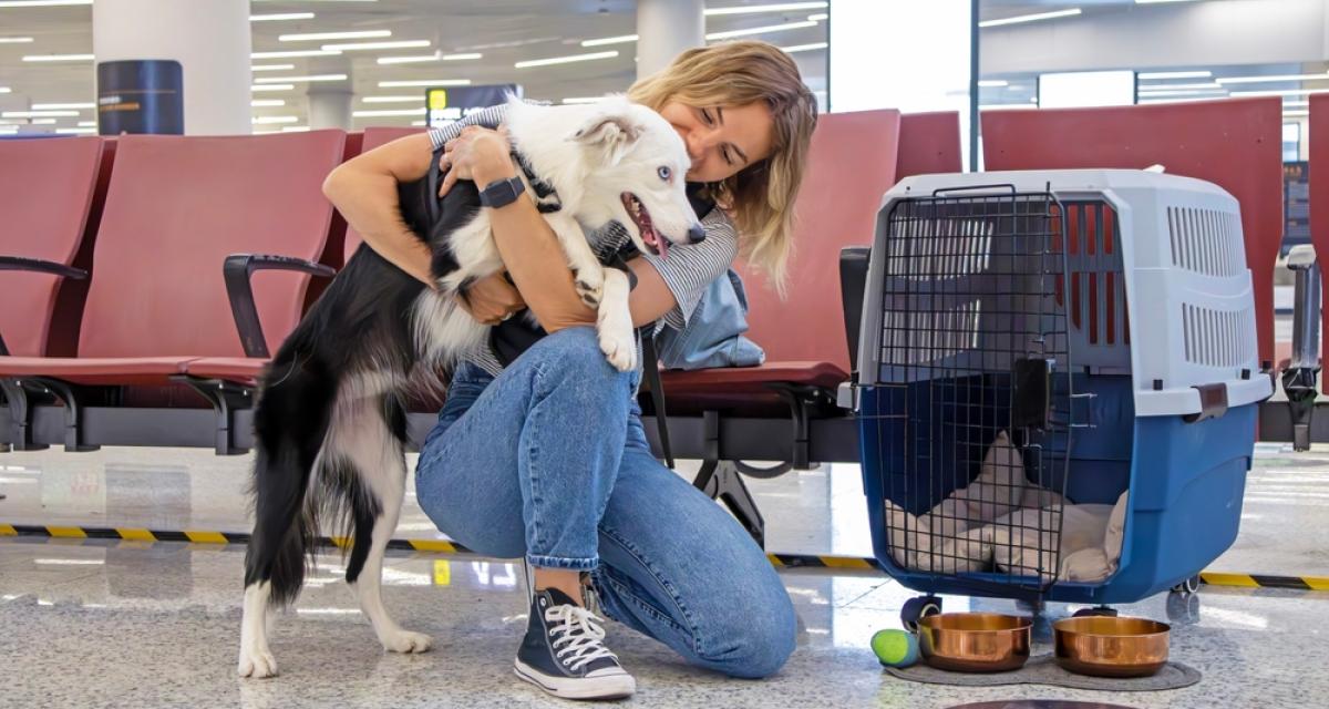 Une jeune femme s'apprête à voyager en avion avec son chien. 