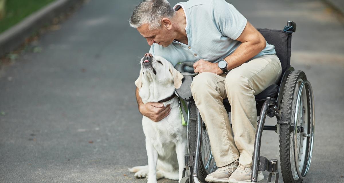 Fauteuils roulants gratuits dès décembre : ce qui va changer pour les seniors en 2025 !