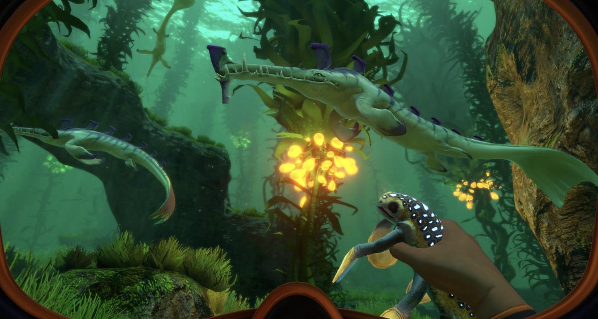 Subnautica sera bientôt de retour avec tout un tas de nouveautés ! 