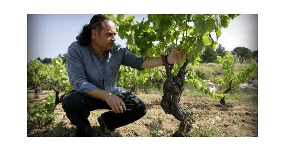  - L'essor des vins bio en Espagne, d'une philosophie à un ''business''