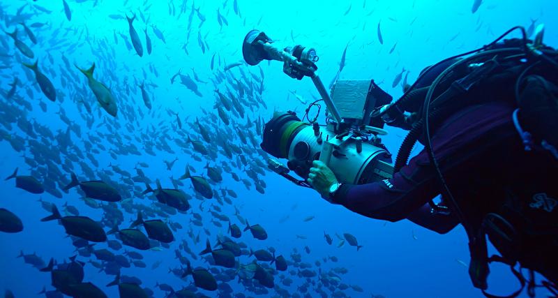 Une troisième Fifty Fathoms en édition limitée pour les océans - Une montre iconique pour une juste cause