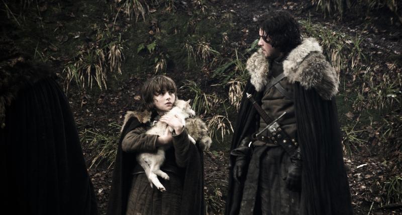 Game of Thrones : que sont devenus les loups de la famille Stark ? - Nymeria la sauvage, Fantôme le fidèle