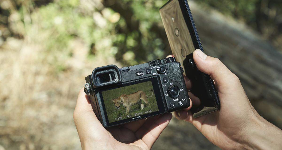 Le nouveau Sony a6600