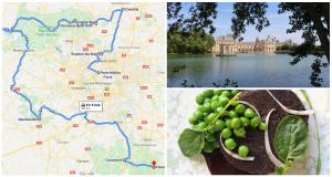 Un week-end gourmand sur la route des vins de Provence et de Châteauneuf-du-Pape - Domaine Beaucastel - Clos des Papes - Avignon