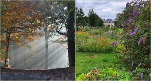 Les Manoirs des Portes de Deauville, la Normandie tout en douceur - Un « bain de forêt » pour un été indien en Bretagne