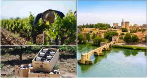 Les Manoirs des Portes de Deauville, la Normandie tout en douceur - Un week-end gourmand sur la route des vins de Provence et de Châteauneuf-du-Pape