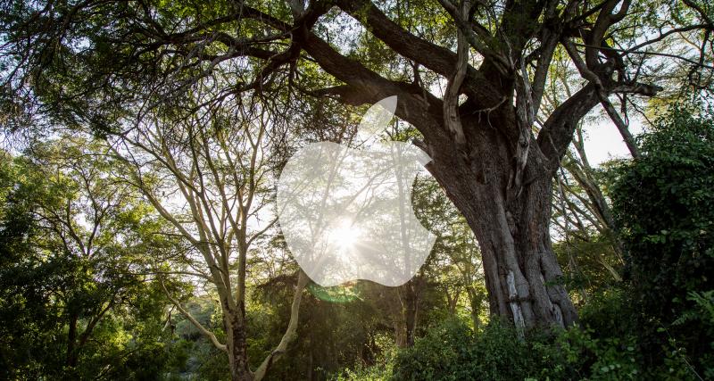  - Apple Restore Fund : 200 millions de dollars pour prendre soin de l’environnement