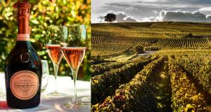 Un rosé de saignée extra brut à découvrir : le Rosé Vrai de Gremillet - Laurent-Perrier et la belle histoire du champagne rosé