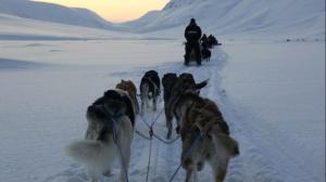 L'archipel du Svalbard