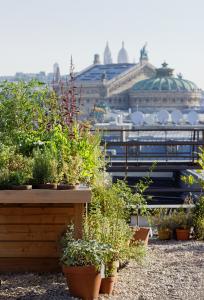 Le potager du Mandarin Oriental