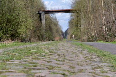 Paris-Roubaix