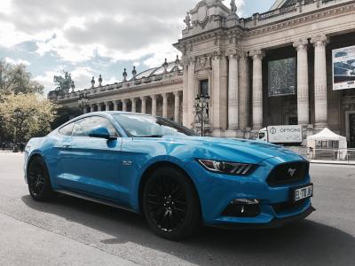 Mustang Blue Edition x Men's UP