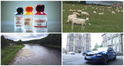 Carnet de voyage : road trip en Ecosse